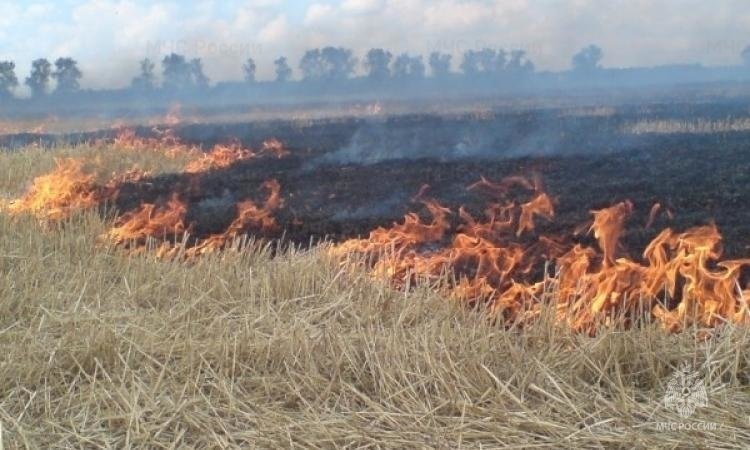 Пожар в с.п. Нестеровское